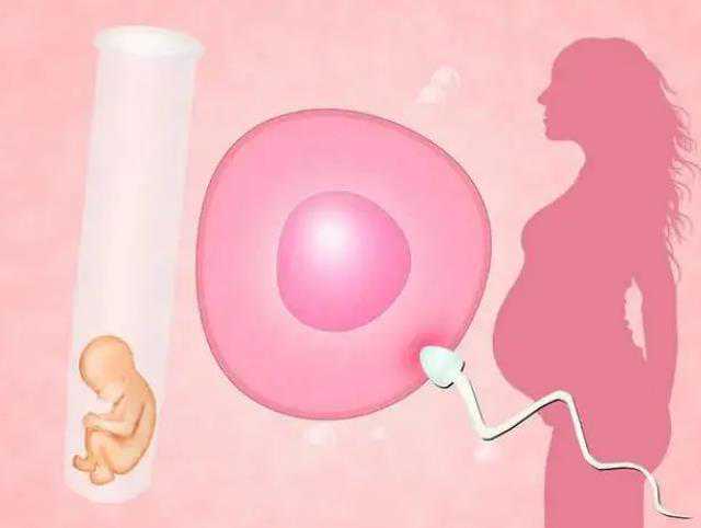 郑州试管代孕哪里有|杭州助孕机构带您了解一下试管移植后腹泻是否会影响胚