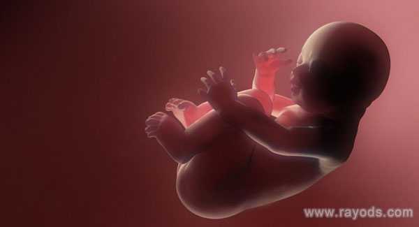 试管婴儿胎停育如何保胎？这一点前往别忽略了。
