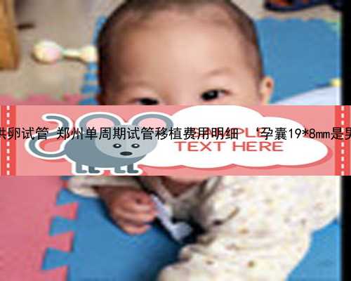 郑州地下供卵试管 郑州单周期试管移植费用明细 ‘孕囊19*8mm是男孩女孩’