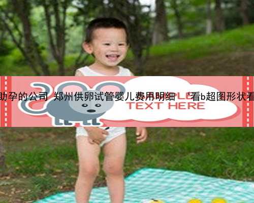 郑州能助孕的公司 郑州供卵试管婴儿费用明细 ‘看b超图形状看男女’