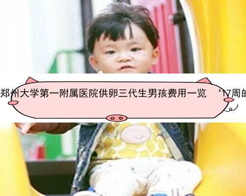 郑州供卵试管怎样 2022郑州大学第一附属医院供卵三代生男孩费用一览 ‘17周的