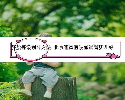 胚胎等级划分方法 北京哪家医院做试管婴儿好