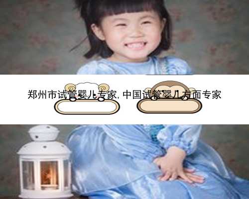 郑州市试管婴儿专家,中国试管婴儿方面专家