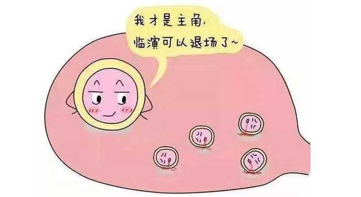 郑州代孕妈妈什么意思|降调，进周，囊胚……大同姐妹这些试管婴儿助孕术语